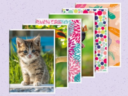 Bloček A6 32 listů, linka, zvířátka