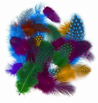 Peří z perličky 1g, 4-6cm, barevný mix