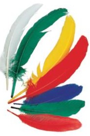 50 ks Indiánská brka střední 17-19 cm, barevný mix