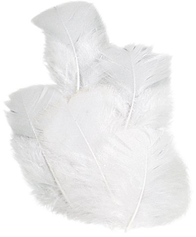 Peří krůtí 7cm - bílé 16ks