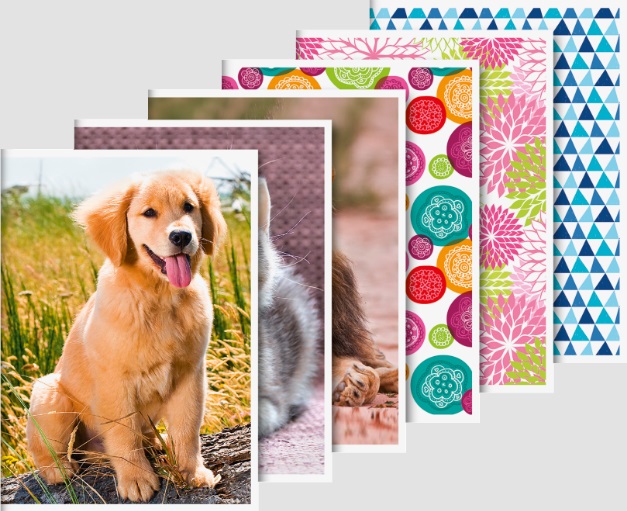 Bloček A6 32 listů, čtvereček, zvířátka