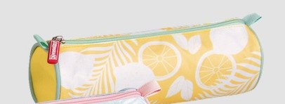 Pouzdro Summer 22x8 cm - citrony