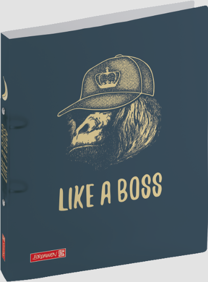 Kroužkové desky plast A4 Boss 16 mm