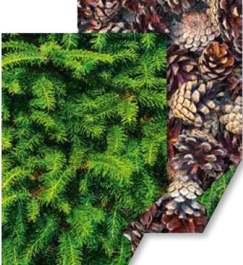 10 ks Karton 50x70 300g Jehličí,šišky