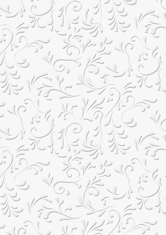 20 ks Karton reliéf A4 220g Roma bílý