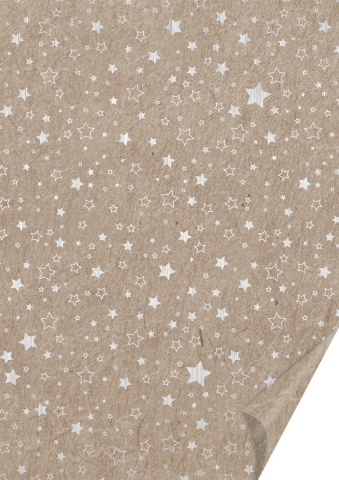 10 ks Karton A4 220g - hvězdičky, stříbrný/ béžový