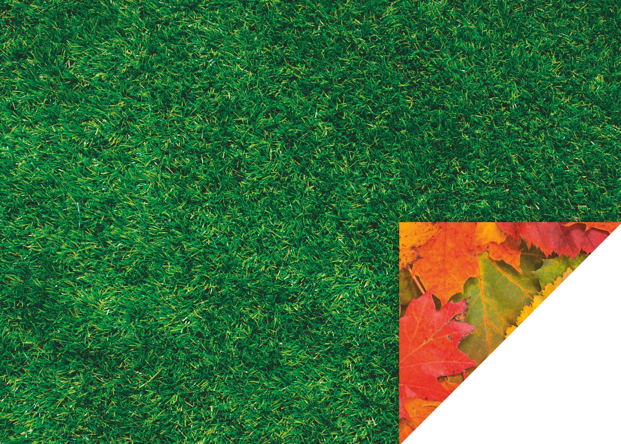 10 ks Karton 50x70 300g Listí, tráva