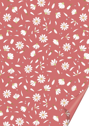 10 ks Karton A4 200g - Sedmikráska, červený