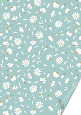 10 ks Karton A4 200g - Sedmikráska, mentol